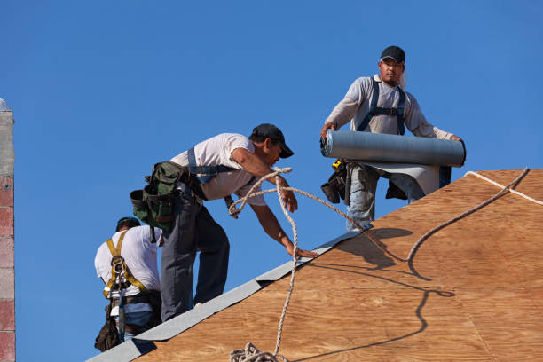 Best Commercial Roofing Services  in Black Forest, CO