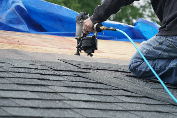 Best Metal Roofing Contractor  in Black Forest, CO